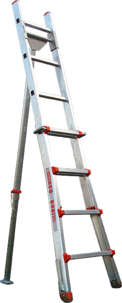 Baumleiter Baumfreund