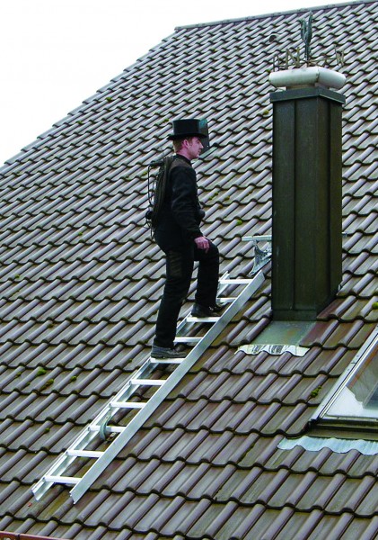 Dachleiter 3D Sprossen